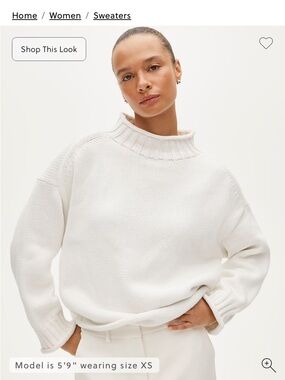SOLD OUT 2025 JCREW rollneck sweater